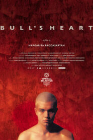 Bull’s Heart