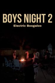 Boys Night II: Electric Boogaloo