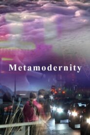 Metamodernity