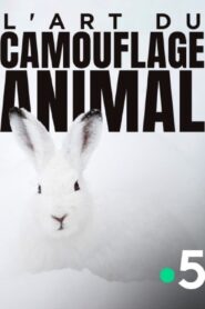 L’art du camouflage animal