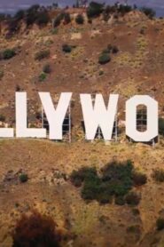 Hollywood Business