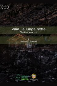 Vaia, la lunga notte. Testimonianze