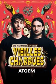 ATOEM en concert aux Vieilles Charrues 2024