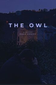 The Owl