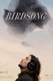 Birdsong