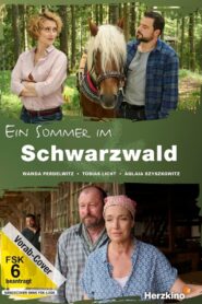 Ein Sommer im Schwarzwald