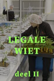 Legal weed 2