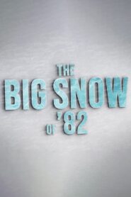 The Big Snow of ’82