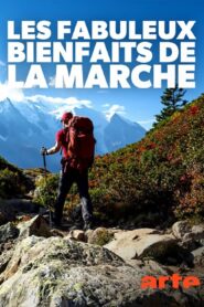 Les fabuleux bienfaits de la marche