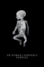 De Humani Corporis Fabrica