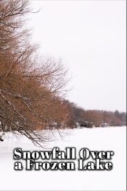 Snowfall Over a Frozen Lake