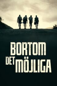 Bortom det möjliga