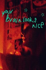 Your Brain Looks Nice