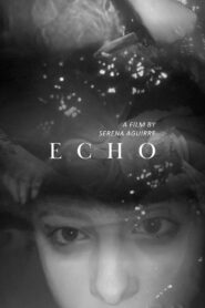 Echo