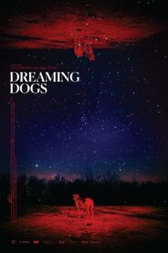 Dreaming Dogs