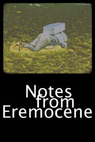 Notes from Eremocene