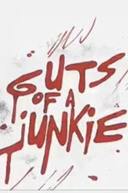 Guts of a Junkie