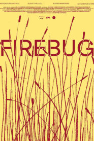 Firebug