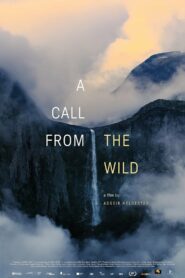 A Call from the Wild