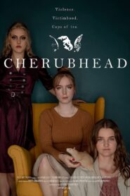 Cherubhead