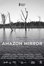 Amazon Mirror