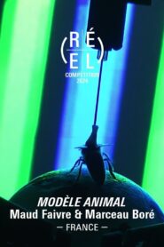 Animal Model