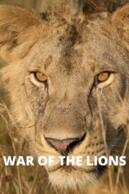 War of the Lions