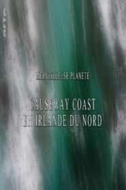 Merveilleuse planète – Causeway coast en Irlande du nord