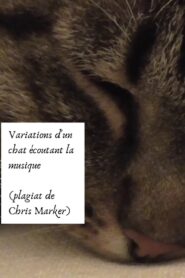 Variations of a cat listening to music (Chris Marker plagiarism)