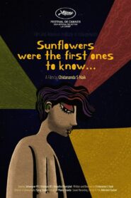 Sunflowers Were the First Ones to Know…