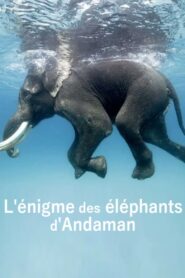 L’énigme des éléphants d’Andaman