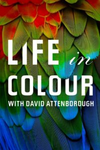 Attenborough’s Life in Colour