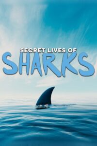 The Secret Lives of Sharks