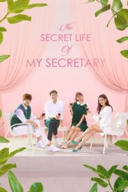 The Secret Life of My Secretary: Season 1