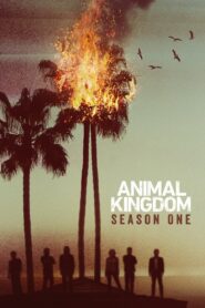 Animal Kingdom: Season 1