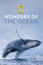 Wonders of the Ocean: Season 1