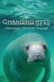 Changing Seas