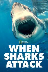 When Sharks Attack: Season 5