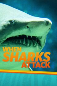 When Sharks Attack: Season 3