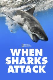 When Sharks Attack: Season 7