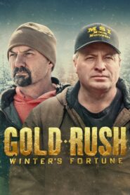 Gold Rush: Winter’s Fortune