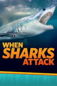 When Sharks Attack: Season 4