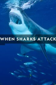 When Sharks Attack: Season 6