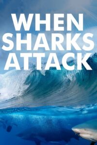 When Sharks Attack: Season 2